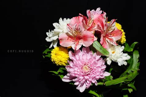 flowers para sa patay|Mga Bulaklak ng Cempasúchitl para sa Araw ng mga Patay.